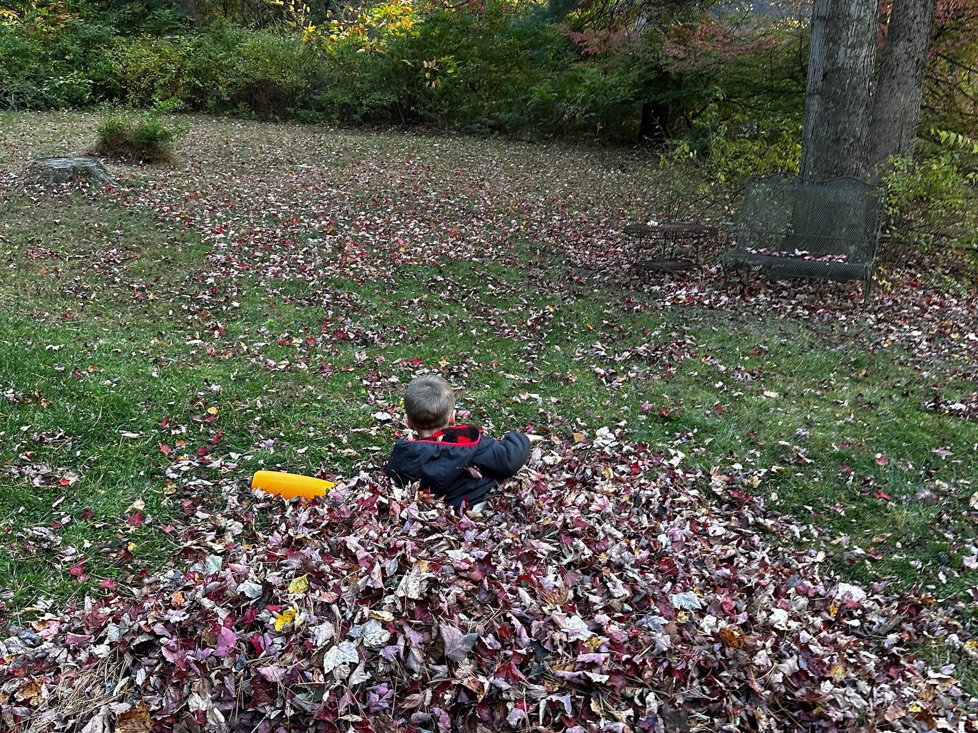 📵 How I'm Getting Rid of My Screens