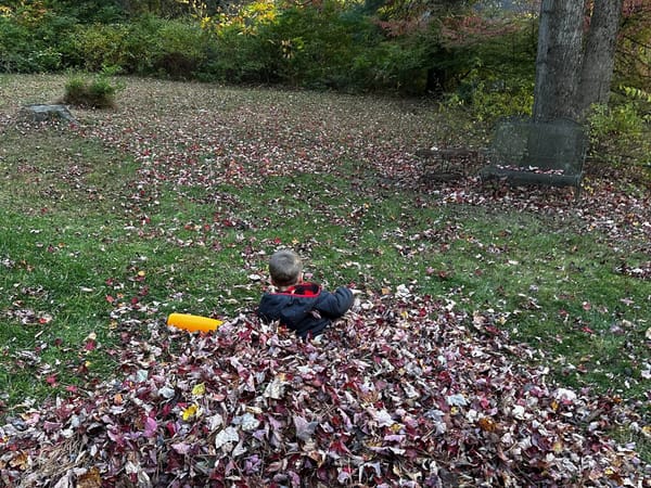 📵 How I'm Getting Rid of My Screens